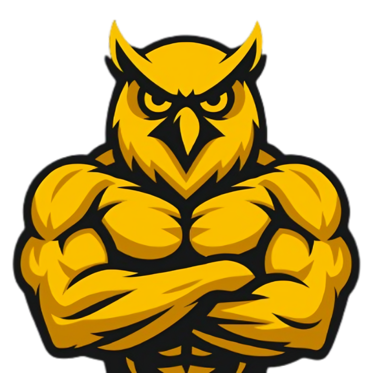 BOOST Owl Mascot